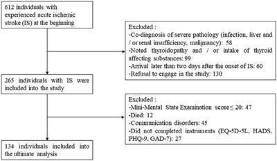 Psychometrics and validation of the EQ-5D-5L instrument in individuals with ischemic stroke in Lithuania